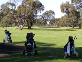 Minlaton Golf Club - Accommodation Rockhampton 3