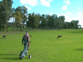 Boston SA Accommodation Rockhampton