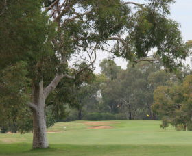 Tocumwal Golf Club - Accommodation Rockhampton 2