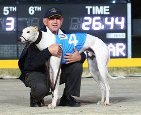 Bulli Greyhound Racing Club - Accommodation Rockhampton 2