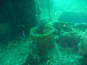Wallaroo Scuba Club - Accommodation Rockhampton 0