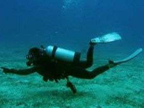 Wallaroo Scuba Club - Accommodation Rockhampton 1