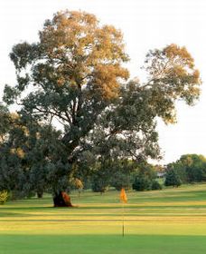 Bumbaldry NSW Accommodation Rockhampton