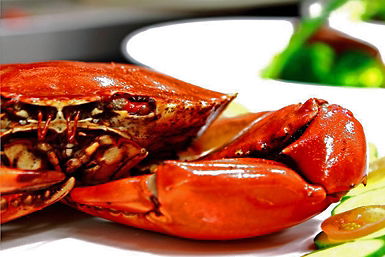 Newquay International Buffet - Accommodation Rockhampton 0