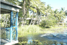 Bushland Tavern - Accommodation Rockhampton 2