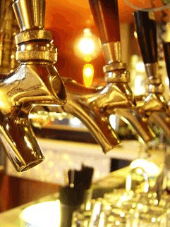 Mary G's - Accommodation Rockhampton