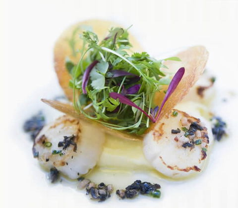 Garden Court - Accommodation Rockhampton 1