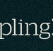 Dumpling Republic - Accommodation Rockhampton