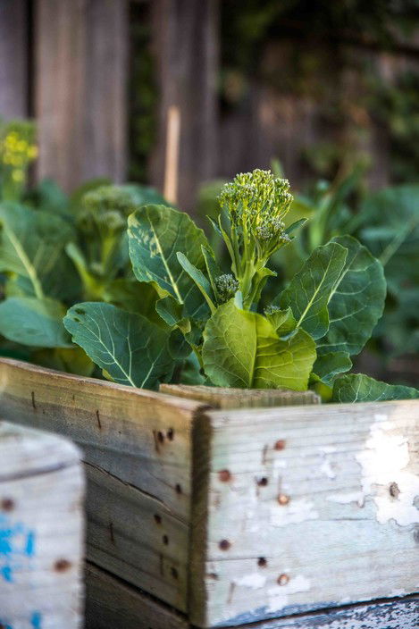 Union Bank Wine Bar - Accommodation Rockhampton 8