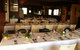 Zebra Crossing Bar & Bistro - thumb 3