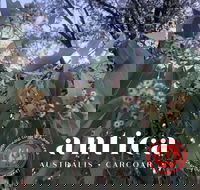 Antica Australis - Winter Fire Festival - Accommodation Rockhampton