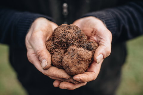 A Taste Of Truffles - Accommodation Rockhampton 0