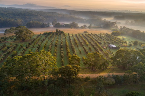 A Taste Of Truffles - Accommodation Rockhampton 1