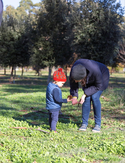 A Taste Of Truffles - Accommodation Rockhampton 2