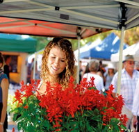 Ballina Missingham Farmers Market - Accommodation Rockhampton