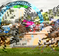 Bathurst Cup - Accommodation Rockhampton