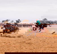 Birdsville Campdraft  Rodeo and Bronco Branding - Accommodation Rockhampton