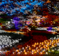 Canberra Nara Candle Festival - Accommodation Rockhampton