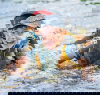 Cave Hill Creek Summer Camp - Accommodation Rockhampton