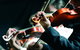 Crossroads Festival Of Chamber Music - thumb 0