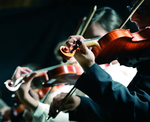 Crossroads Festival Of Chamber Music - Accommodation Rockhampton 0