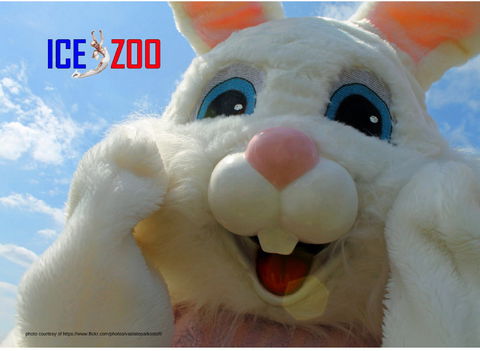 Easter Egg-stravaganza - Accommodation Rockhampton 0