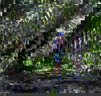 Elephant Trail Race - Accommodation Rockhampton
