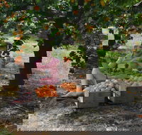 Fruit Bottling Sessions at Rayner's Orchard - Accommodation Rockhampton