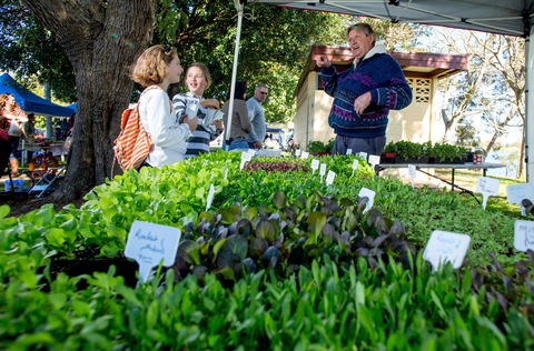 Gladstone Quality Markets - Accommodation Rockhampton 2
