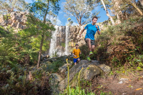 Goldrush Trail Runs - Accommodation Rockhampton 1