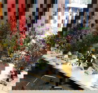 Grampians Wildflower Show - Accommodation Rockhampton