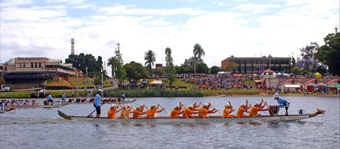 Jacaranda Dragon Boat Races - Accommodation Rockhampton 0