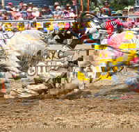 Jindabyne's Man From Snowy River Rodeo - Accommodation Rockhampton