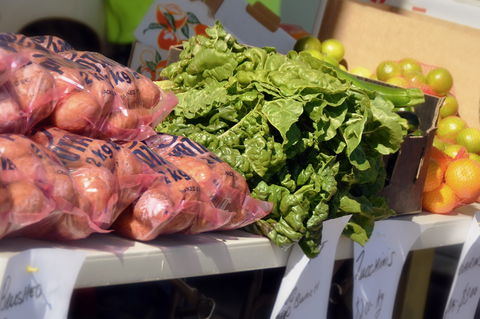 Junee Rotary Farmers Markets - Accommodation Rockhampton 2