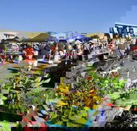 Maclean Community Monthly Markets - Accommodation Rockhampton