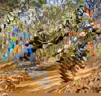 NSW State Downhill Mountain Bike Championships - Accommodation Rockhampton