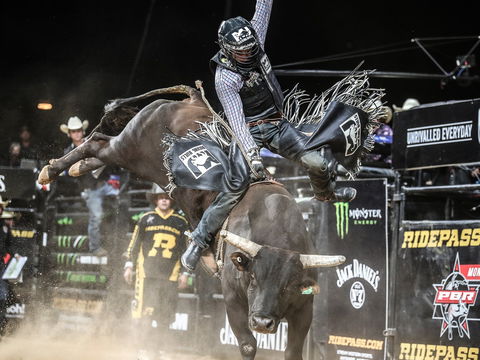 PBR Hawkesbury Stampede - Accommodation Rockhampton 0
