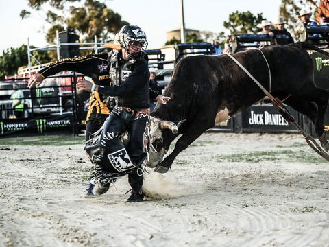 PBR Hawkesbury Stampede - Accommodation Rockhampton 2