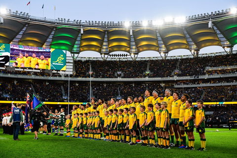 Rugby Championship: Qantas Wallabies V Springboks - Accommodation Rockhampton 0
