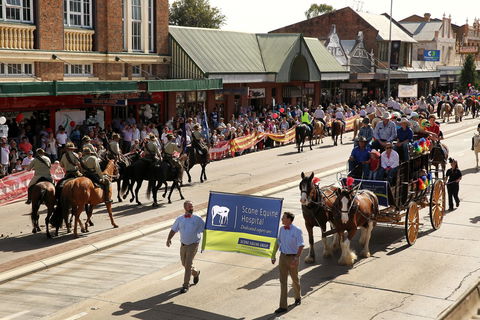 Scone Horse Festival - Accommodation Rockhampton 0