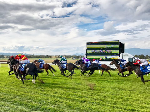 Scone Horse Festival - Accommodation Rockhampton 2