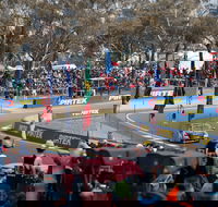 Supercars Supercheap Auto Bathurst 1000 - Accommodation Rockhampton