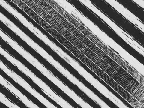 WA Now – Tom Mùller: Monolith Scores - Virtual Exhibition - Accommodation Rockhampton 1