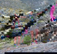 Wonderland Run - Accommodation Rockhampton