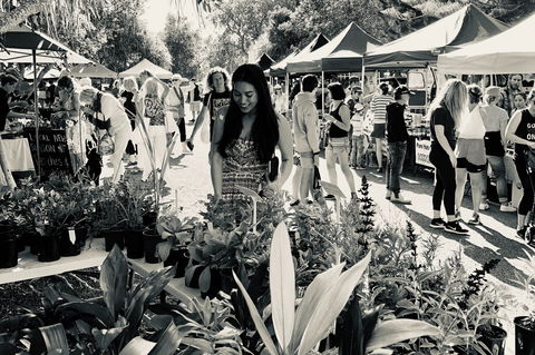 Yamba Farmers And Producers Market - Accommodation Rockhampton 0