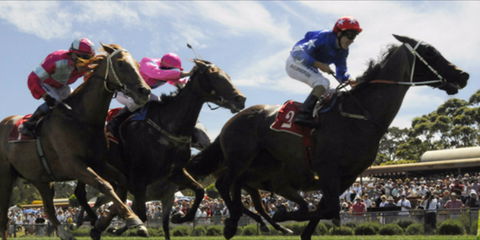 Batemans Bay Cup - Accommodation Rockhampton 0