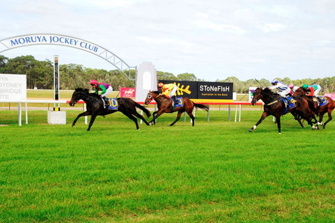 Batemans Bay Cup - Accommodation Rockhampton 2