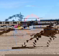 Bedourie Camel and Pig Races and Camp oven Cook-off - Accommodation Rockhampton