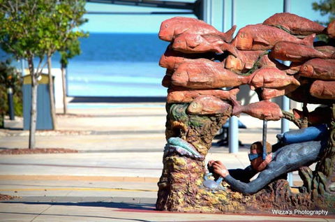 Cuttlefish Art Trail - Cuttlefest 2020 - Accommodation Rockhampton 0