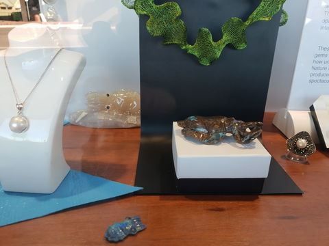 Cuttlefish Art Trail - Cuttlefest 2020 - Accommodation Rockhampton 1